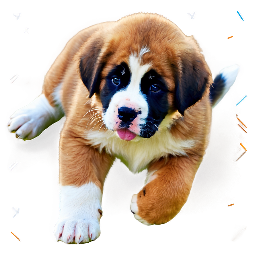 Playful St Bernard Pup Png 06292024