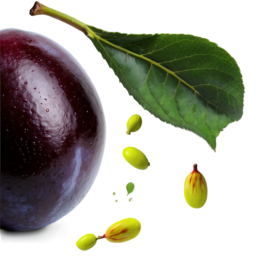 Plum Close-up Png Akf