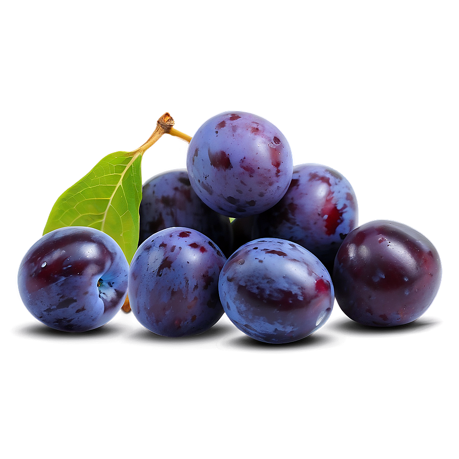 Plum Collection Png 06122024