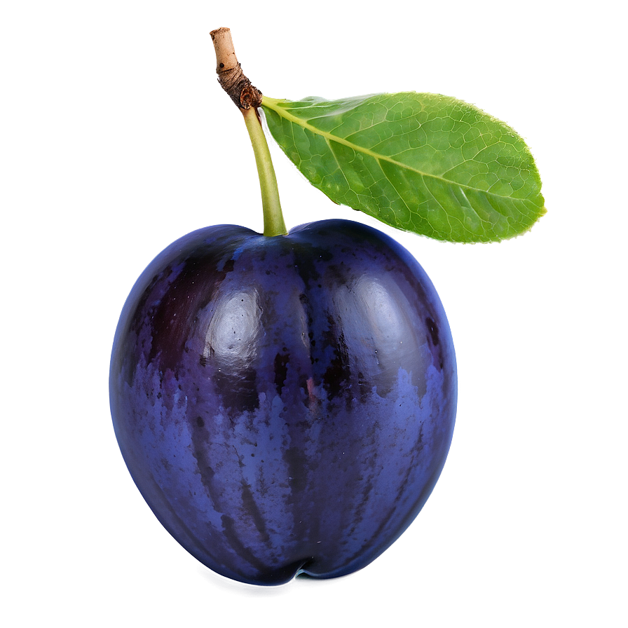 Plum Collection Png 68