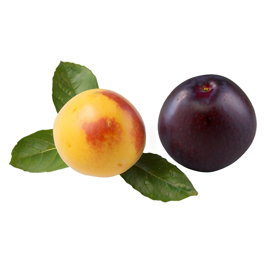 Plum D