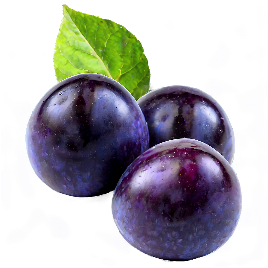 Plum Set Png 06122024