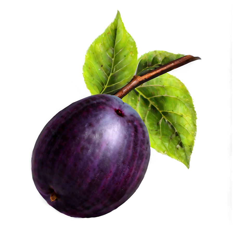 Plum Set Png 55