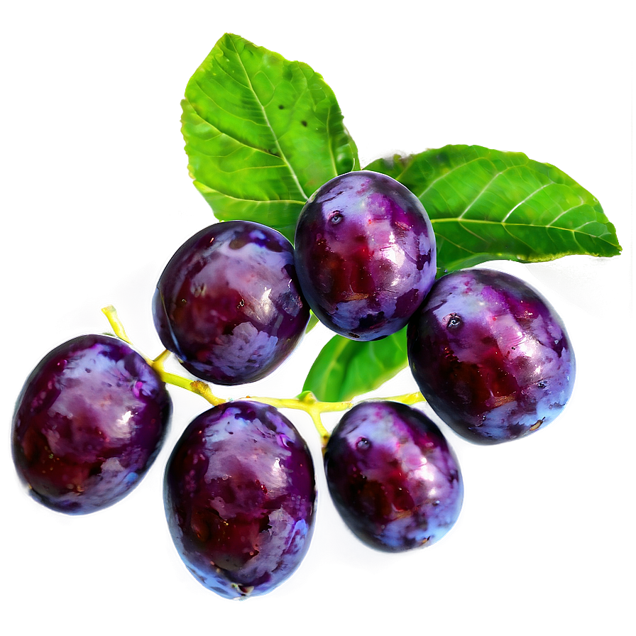 Plum Set Png 91