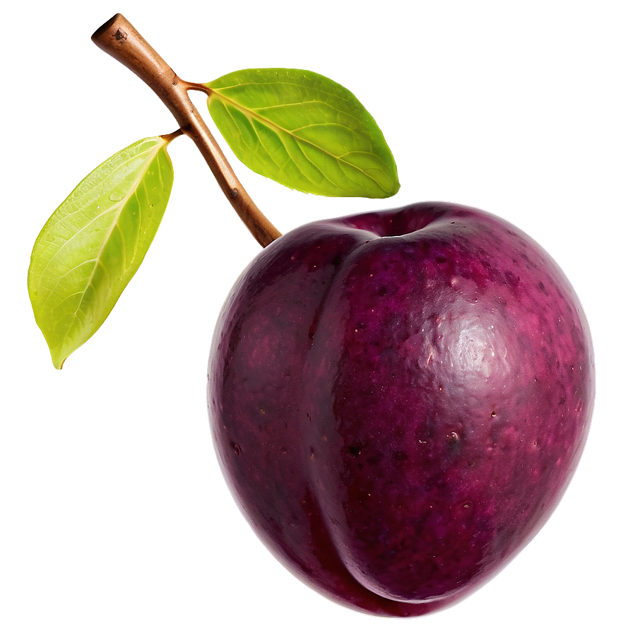 Plum Skin Png 06122024