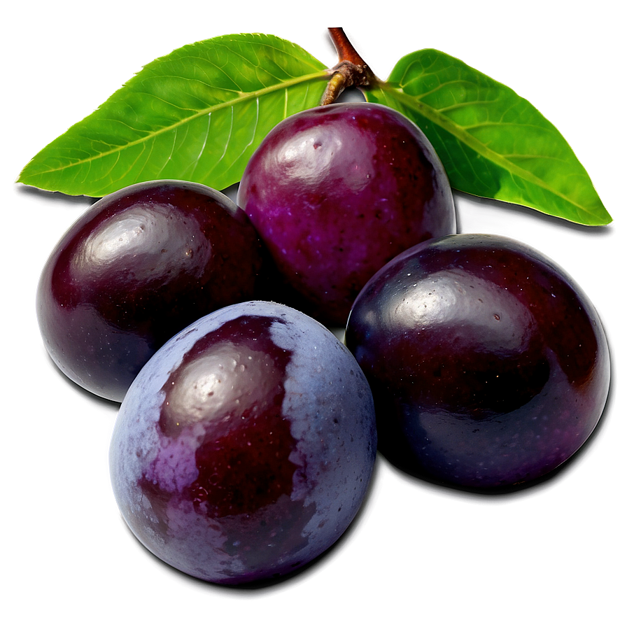 Plum Varieties Png 24