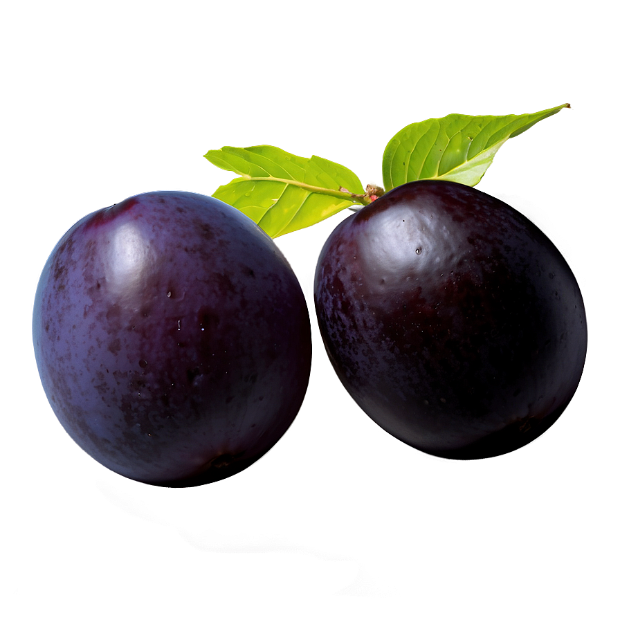 Plum Varieties Png Ugw60