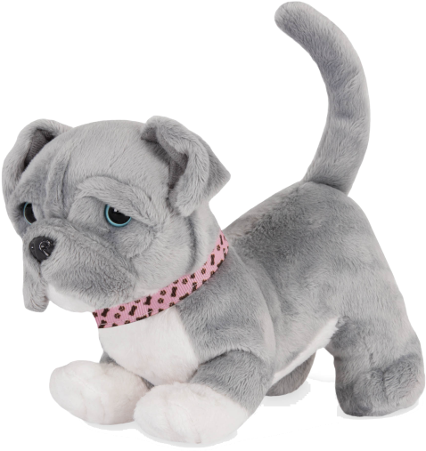 Plush Gray Puppy With Pink Collar