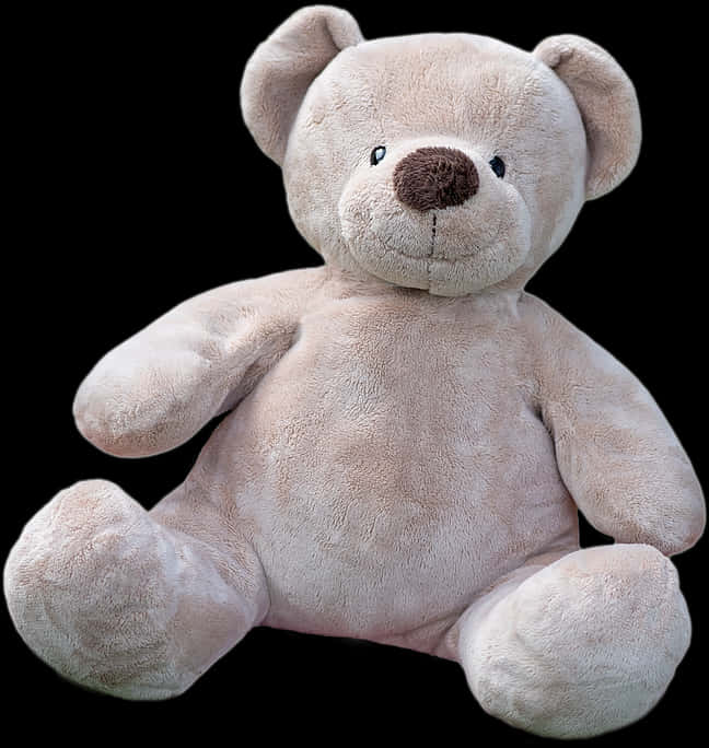 Plush Teddy Bear Isolated