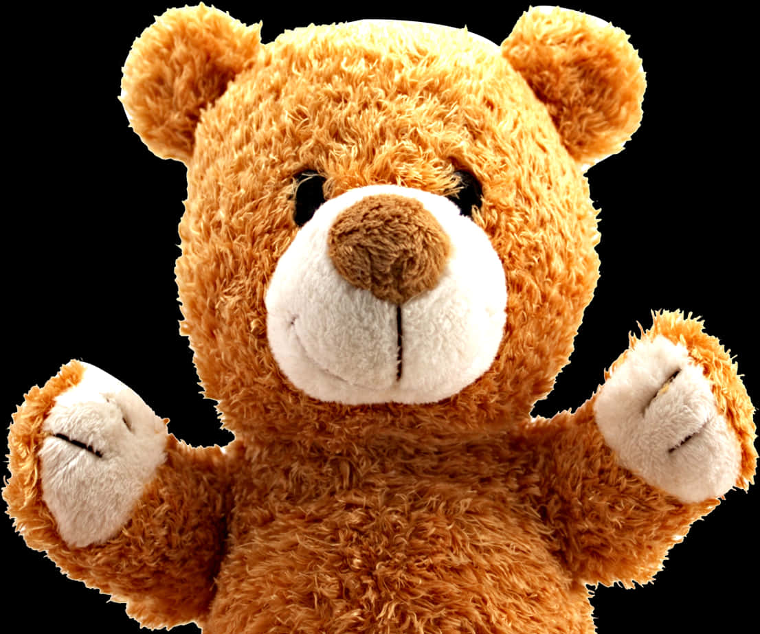 Plush Teddy Bear Portrait