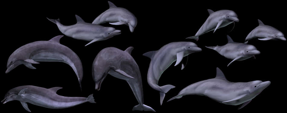 Pod_of_ Dolphins_in_ Dark_ Waters