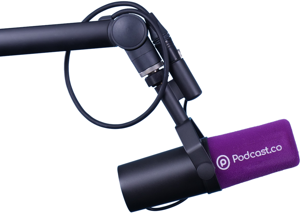 Podcast Microphone Setup