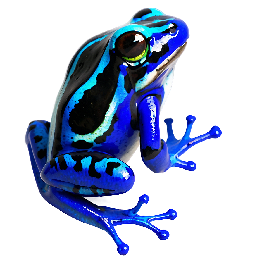 Poison Dart Frog Png Fuu