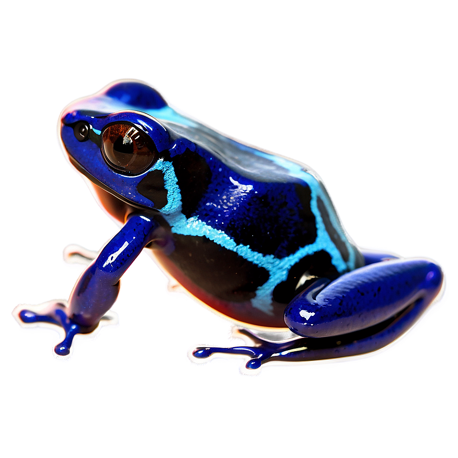 Poison Dart Frog Survival Strategy Png 06132024