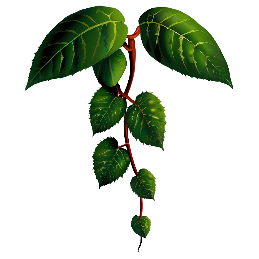 Poison Ivy Illustration Png 4