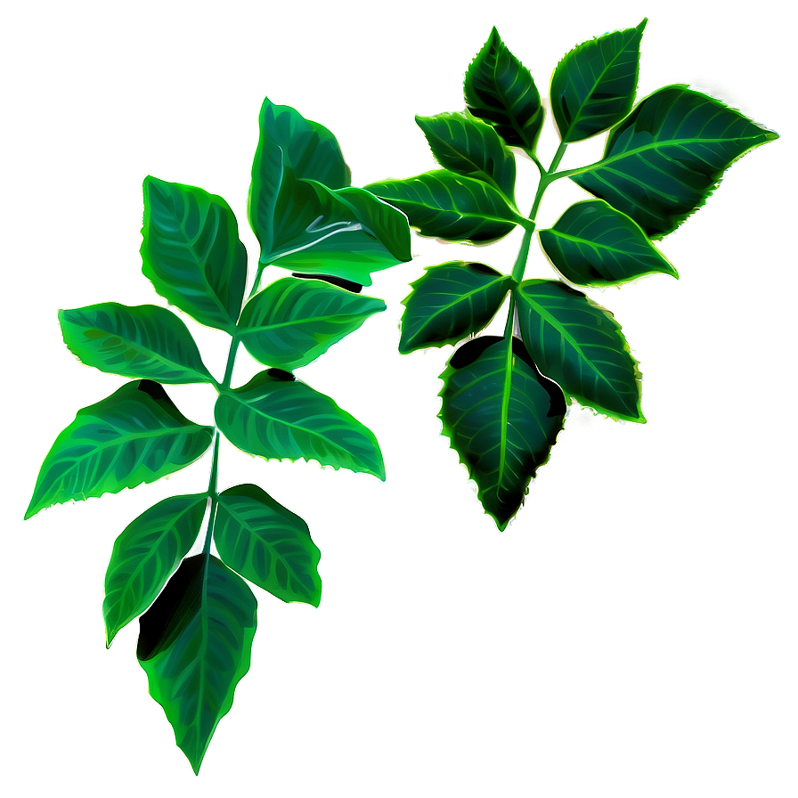 Poison Ivy Plant Png 62