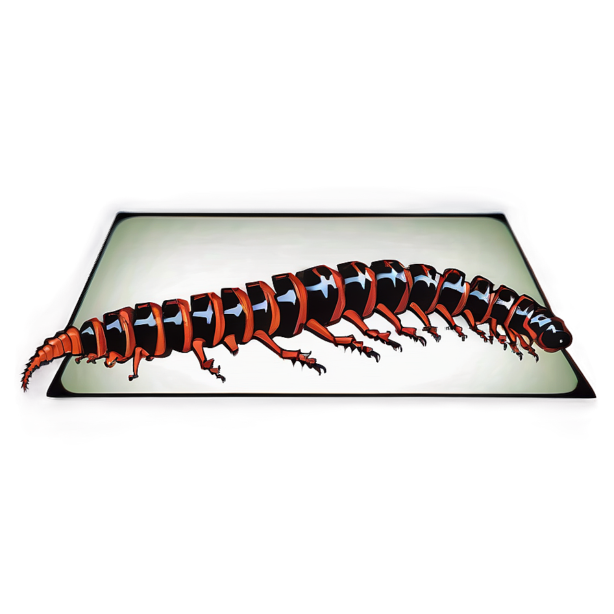 Poisonous Centipede Alert Png Vfn19