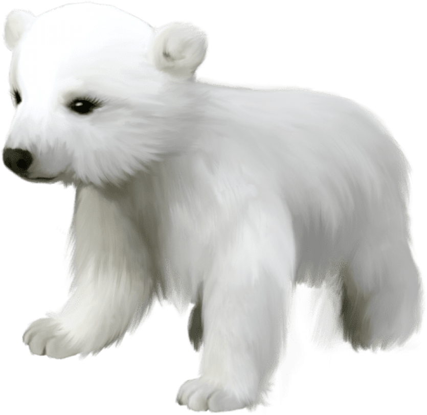 Polar Bear Cub Illustration