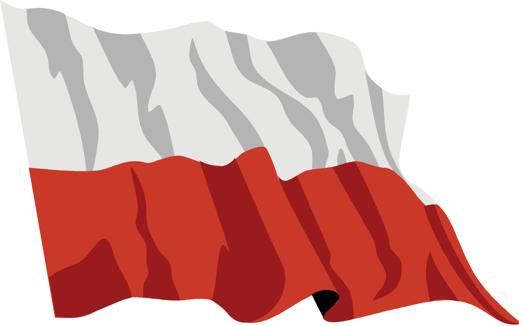 Polish National Flag Waving