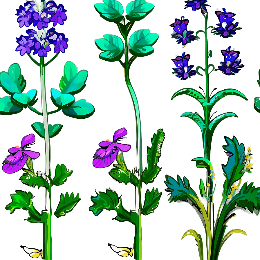 Pollinator Garden Plants Png 49