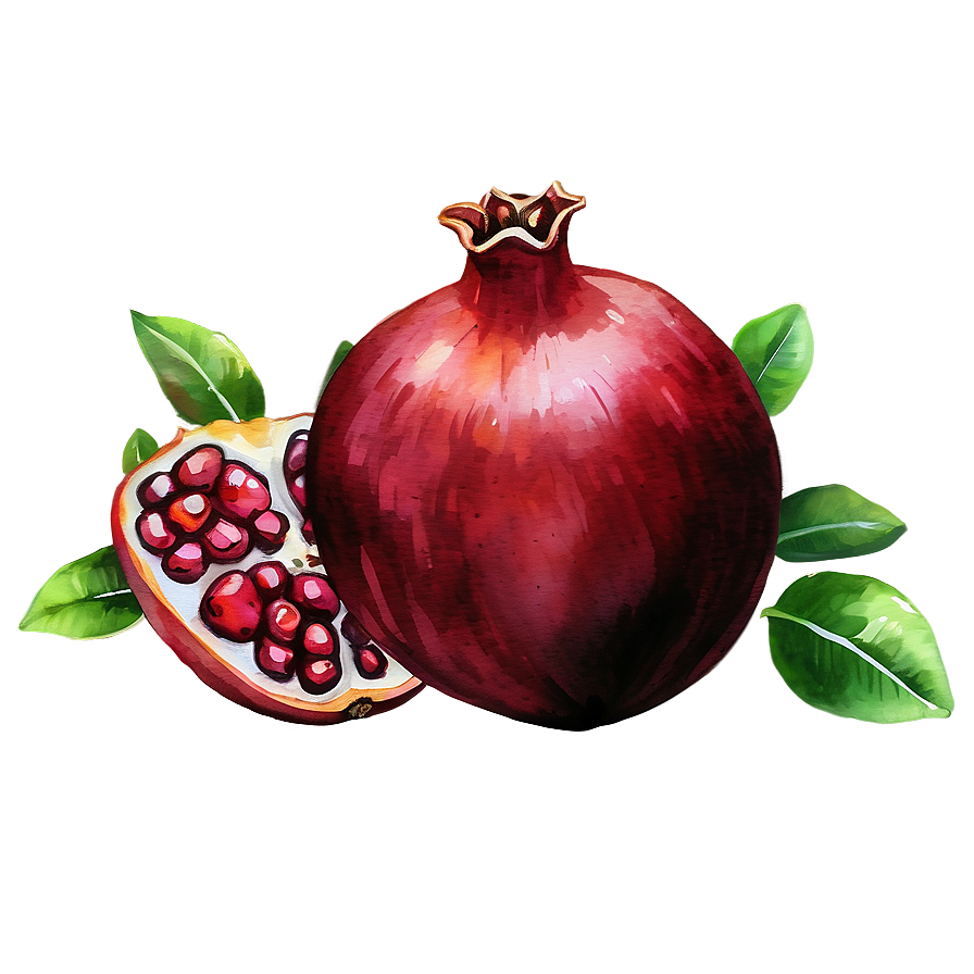 Pomegranate Watercolor Png Fcn