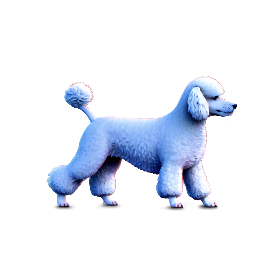 Poodle Dog Illustration Png 68