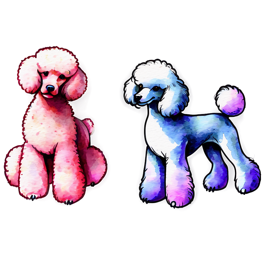 Poodle Watercolor Png Qjg