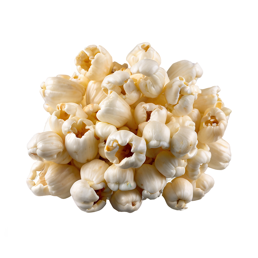 Popped Popcorn Kernel Png 06292024