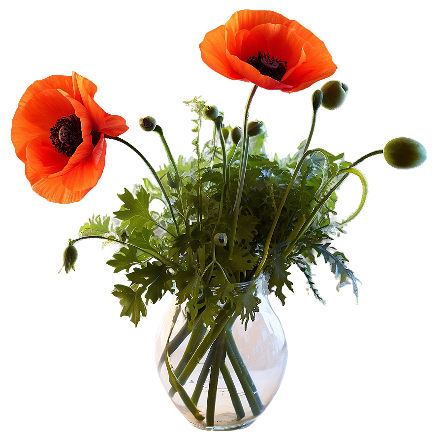 Poppies In Vase Png 06272024