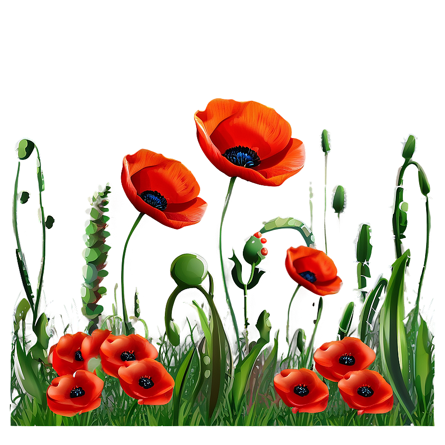 Poppy Field Landscape Png 73