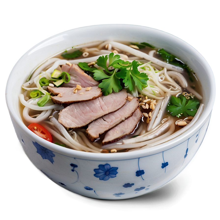 Pork Pho Delight Png Ysc15