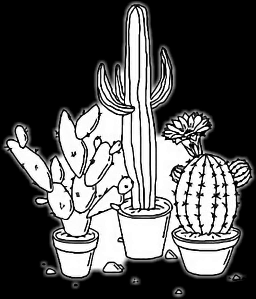 Potted Cactus Collection Line Art