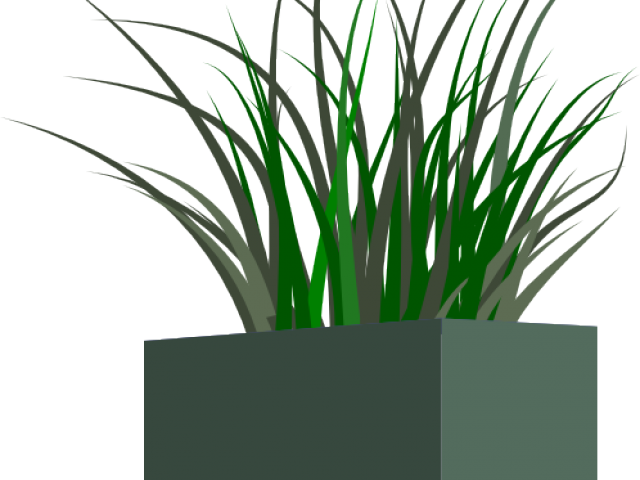 Potted Grass3 D Rendering