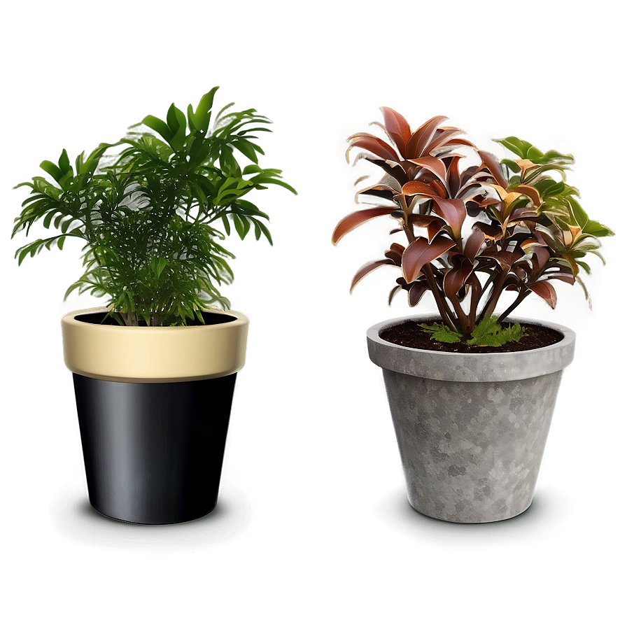 Potted Plant Decoration Ideas Png Aqt