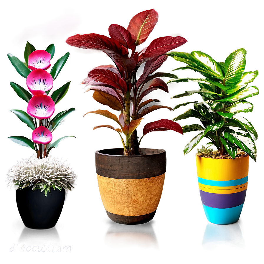 Potted Plant Decoration Ideas Png Bcq56