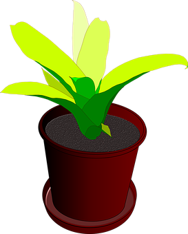 Potted Plant Illustration