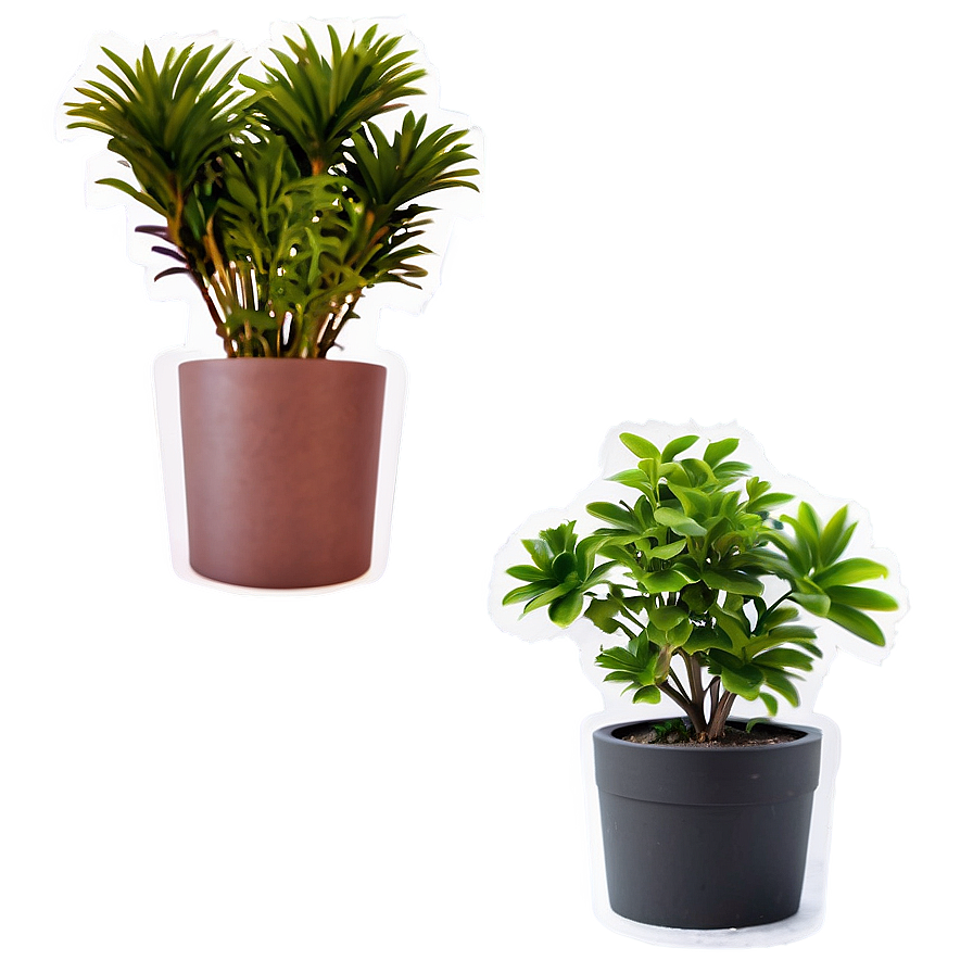 Potted Plant Labels Png Vjw