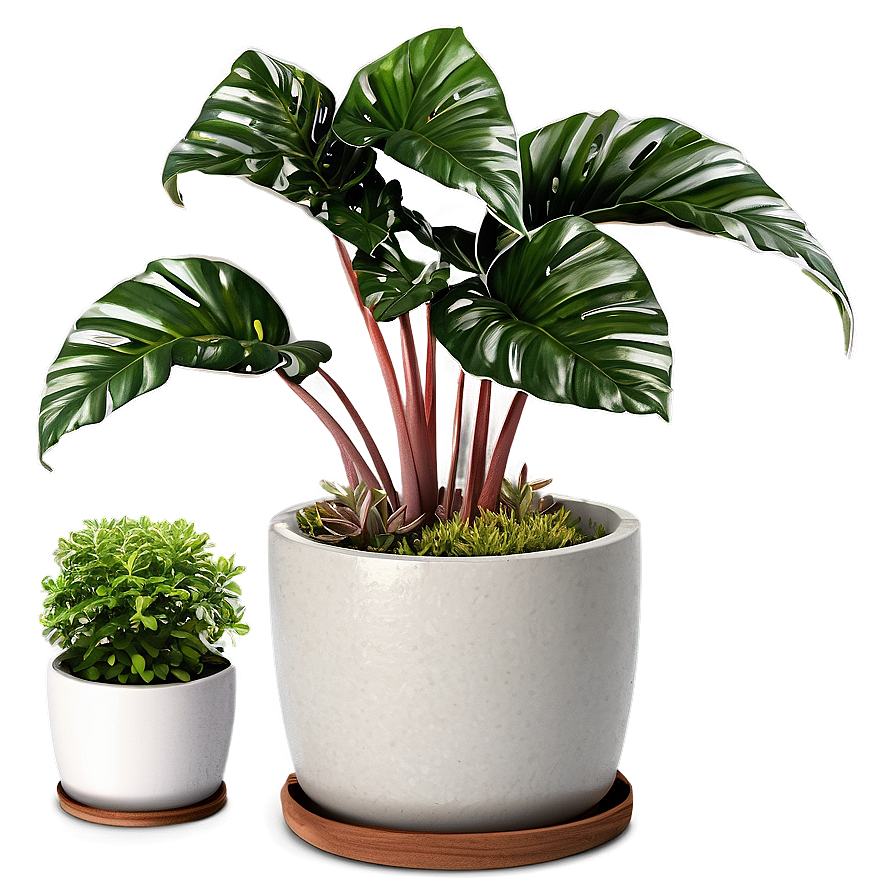 Potted Plant Pot Designs Png 06122024