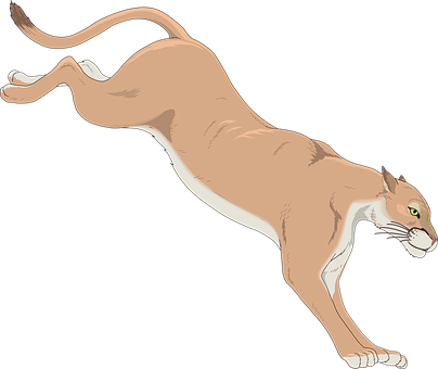 Pouncing Cougar Illustration