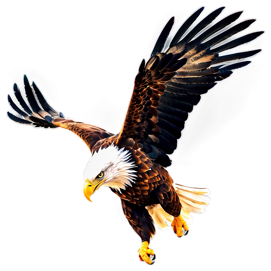 Powerful Eagle Swooping Png Jmx