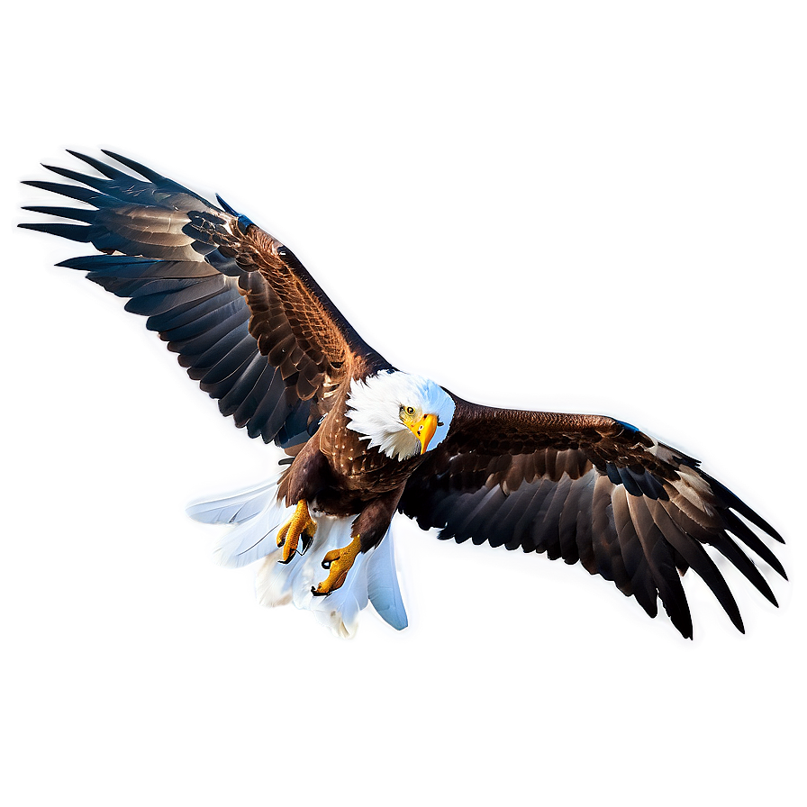 Powerful Eagle Wings Png 06262024 Image