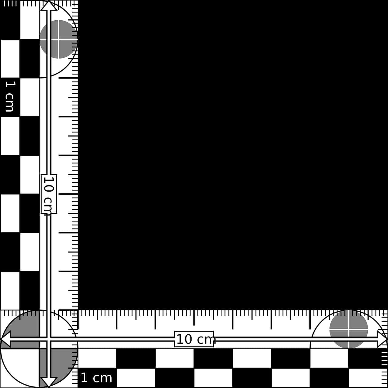 Precision Ruler Measurement Tool