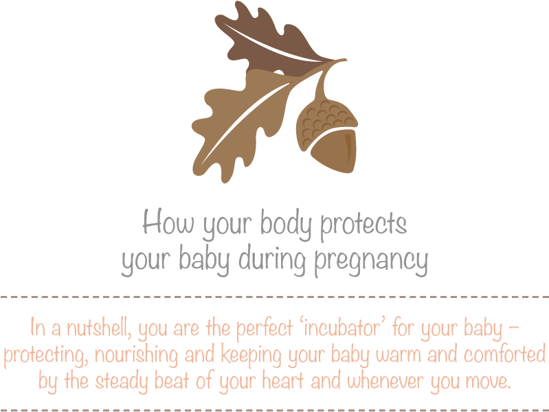 Pregnancy Protection Infographic