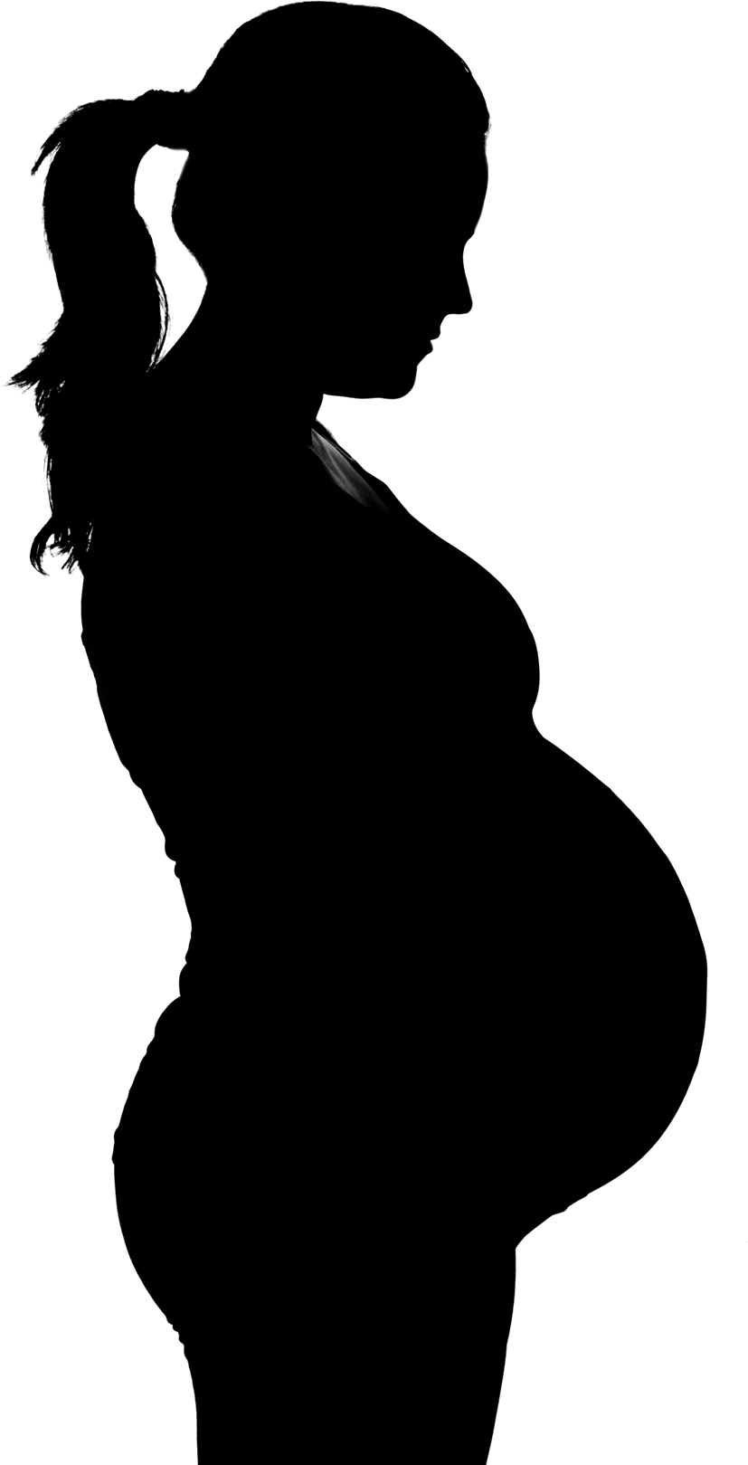 Pregnant Silhouette Profile