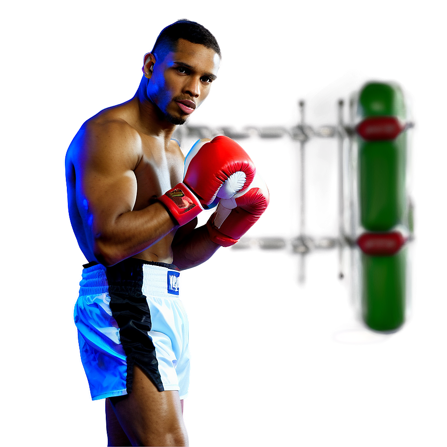 Professional Boxer In Ring Png Pmx