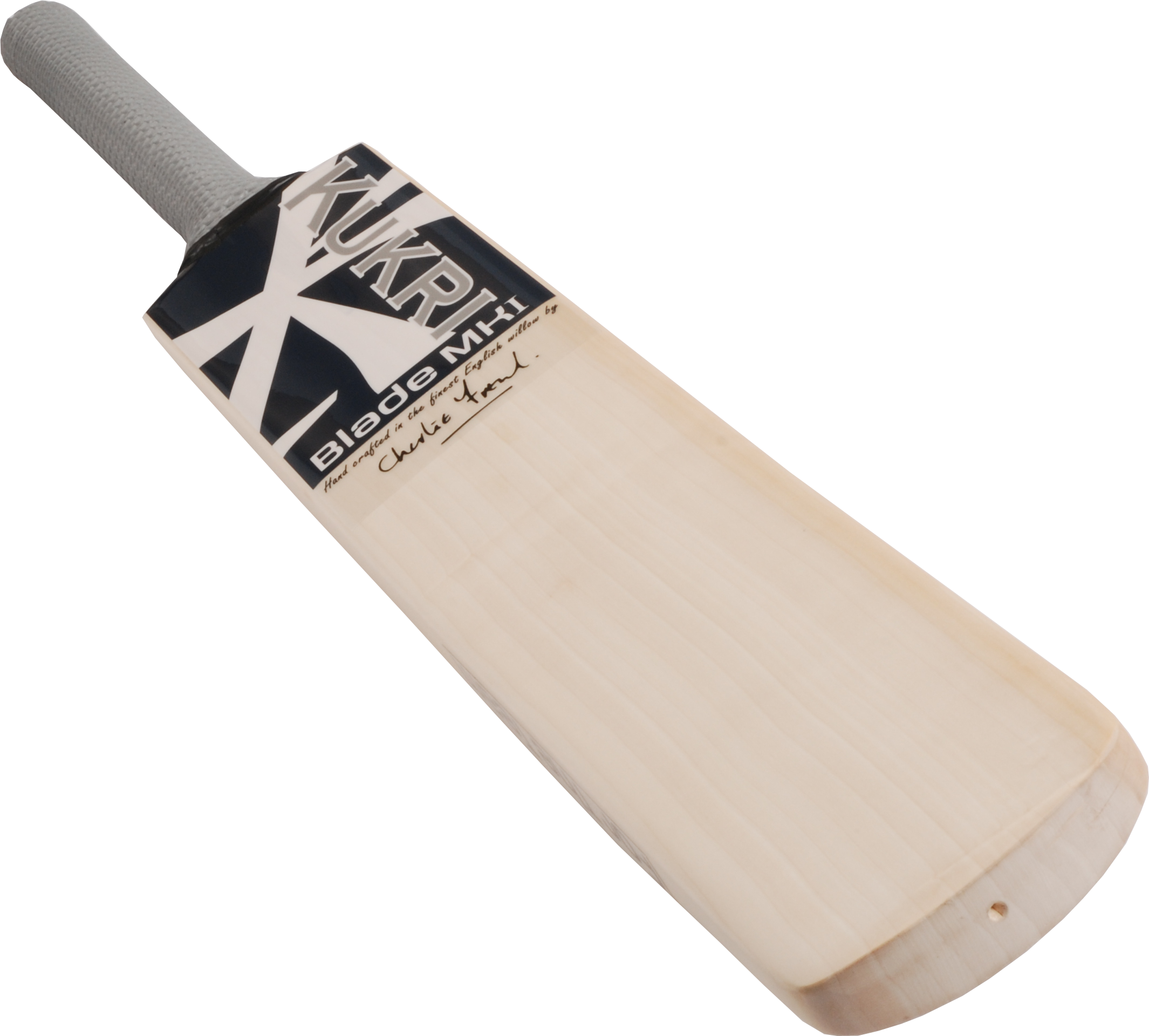 Professional Cricket Bat Isolated