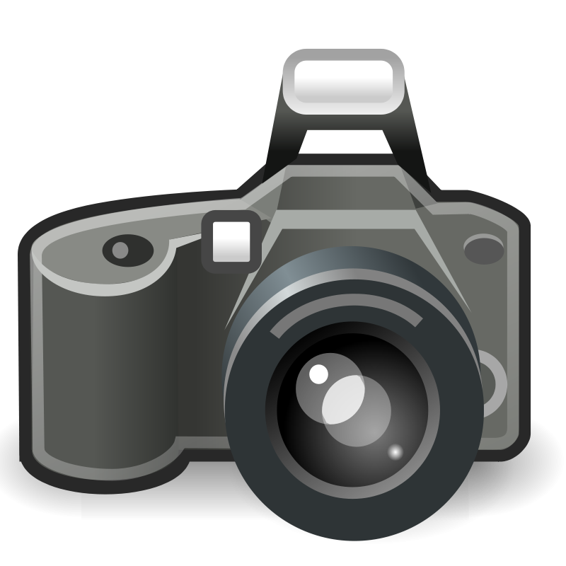 Professional Digital Camera Icon