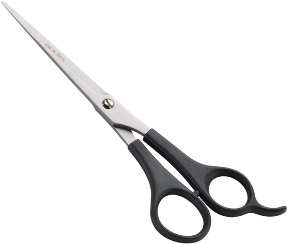 Professional Hairdressing Scissors