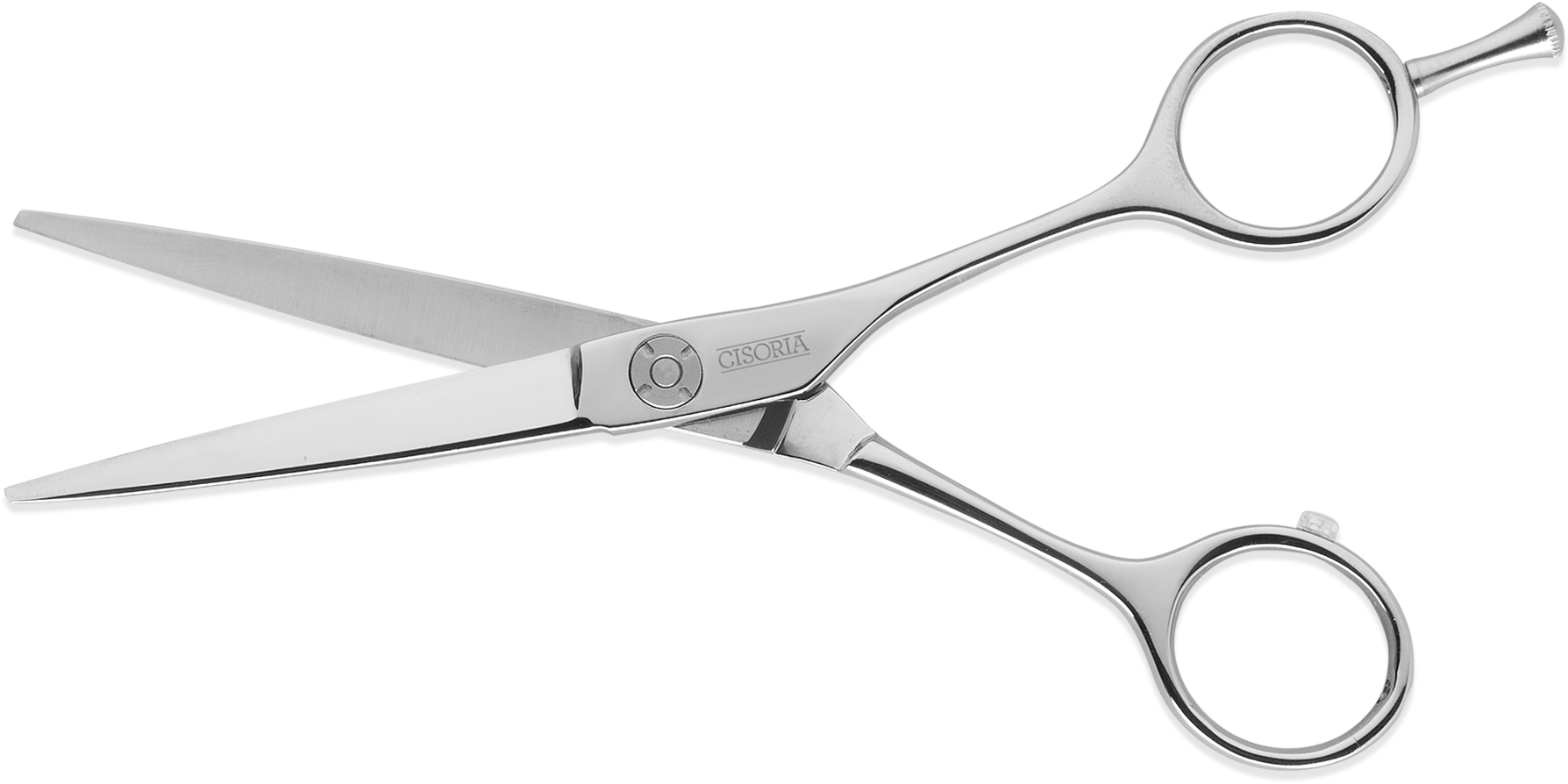 Professional Hairdressing Scissors