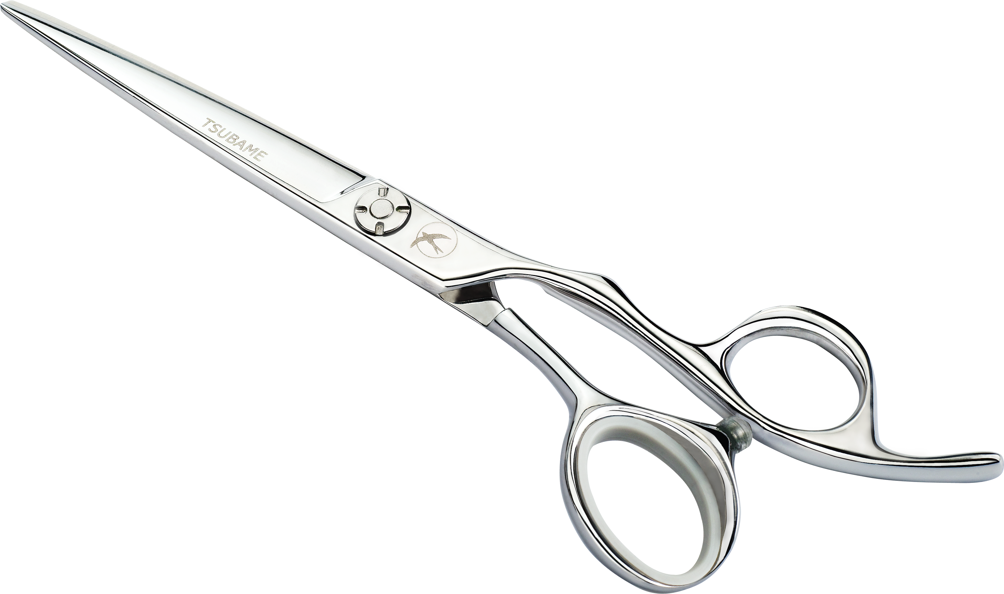 Professional Hairdressing Scissors